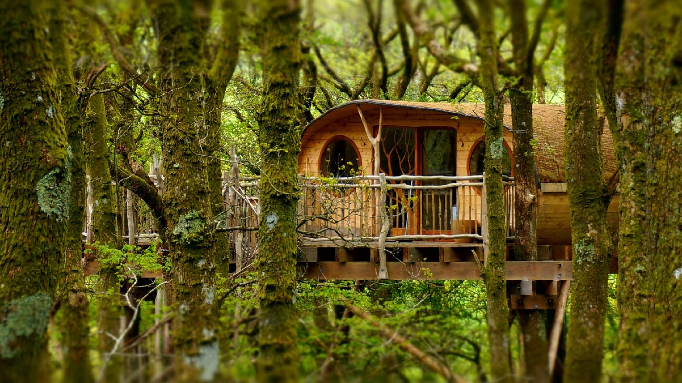 Treehouse escapes