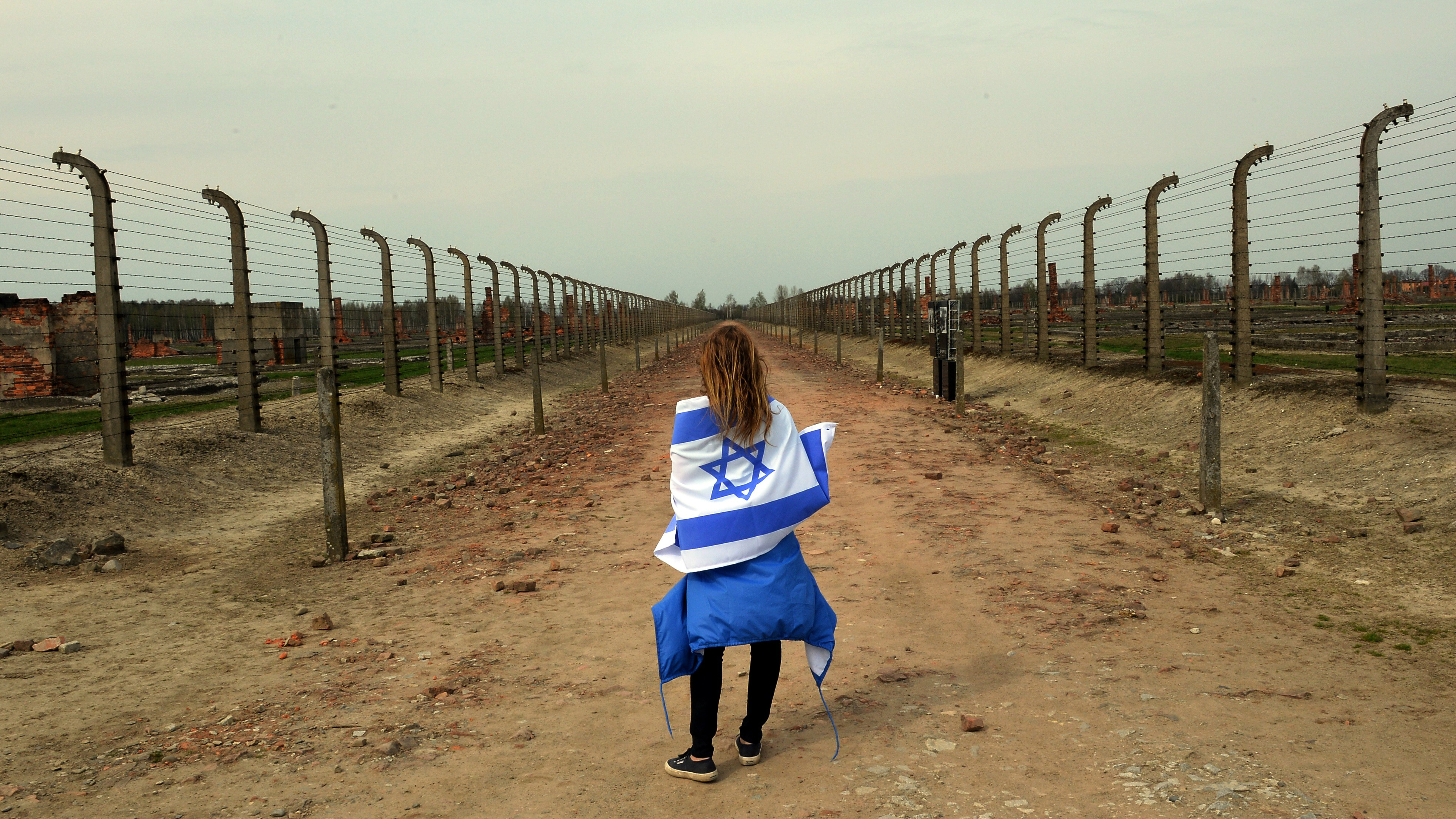 Israel, Zionism, World War Two, Holocaust