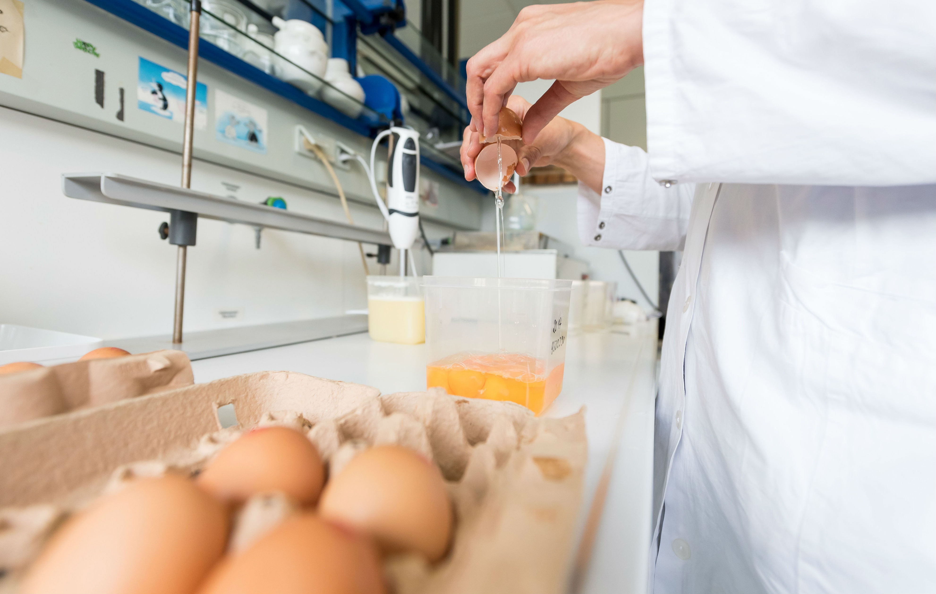 Contaminated egg scandal 