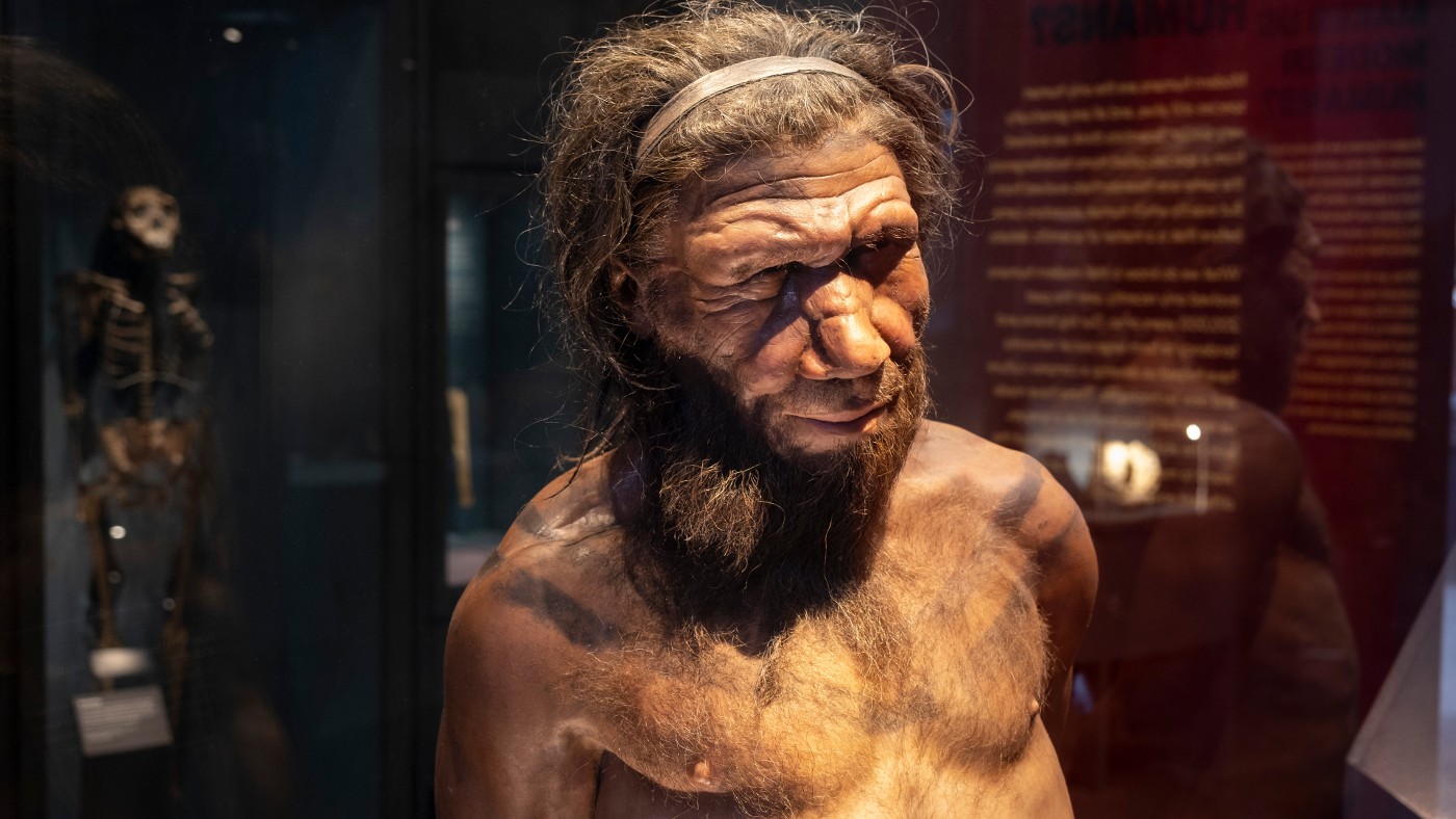 Neanderthal man at the Natural History Museum 