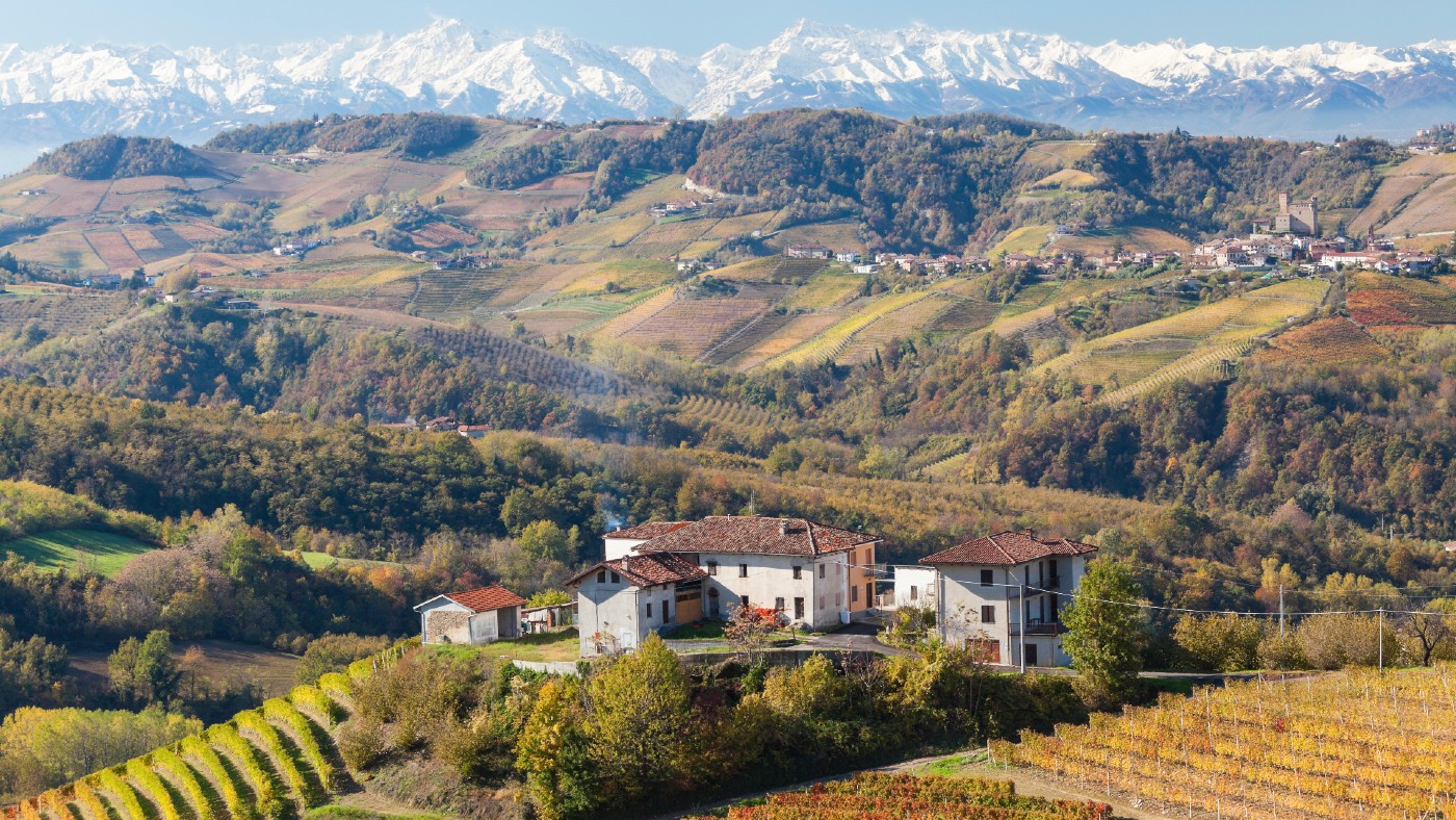 Vineyards near Alba in Piedmont, Italy