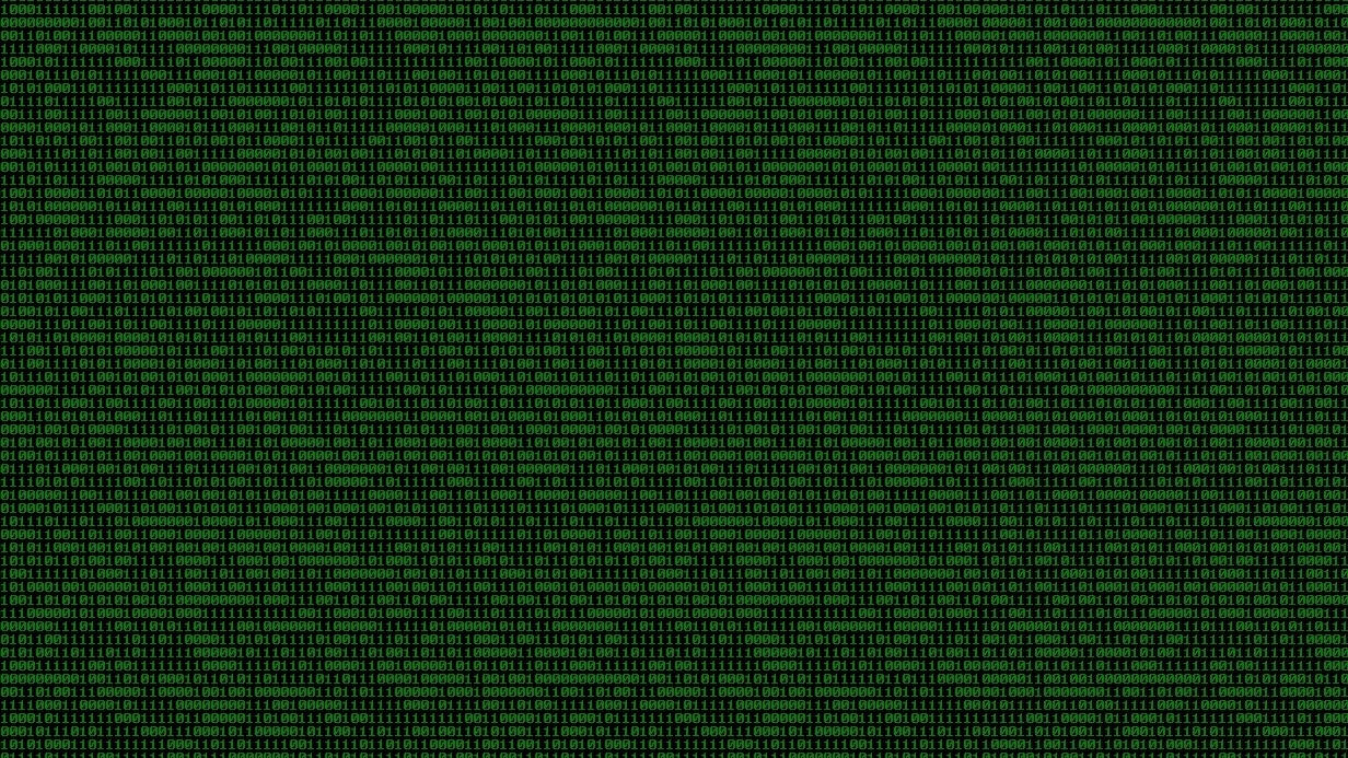 binary_code_cropped.jpg