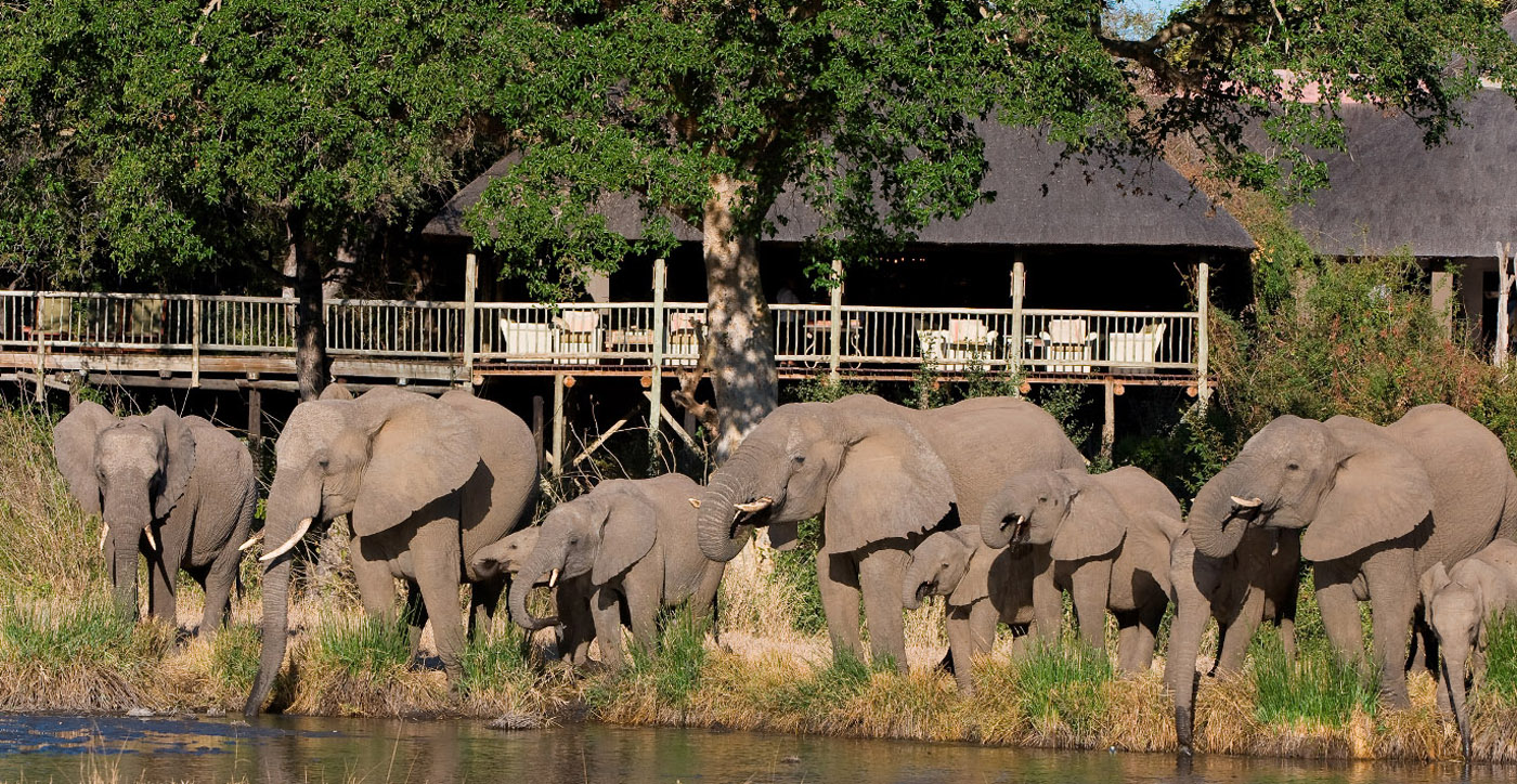 Sabi Sabi Private Game Reserve in South Africa