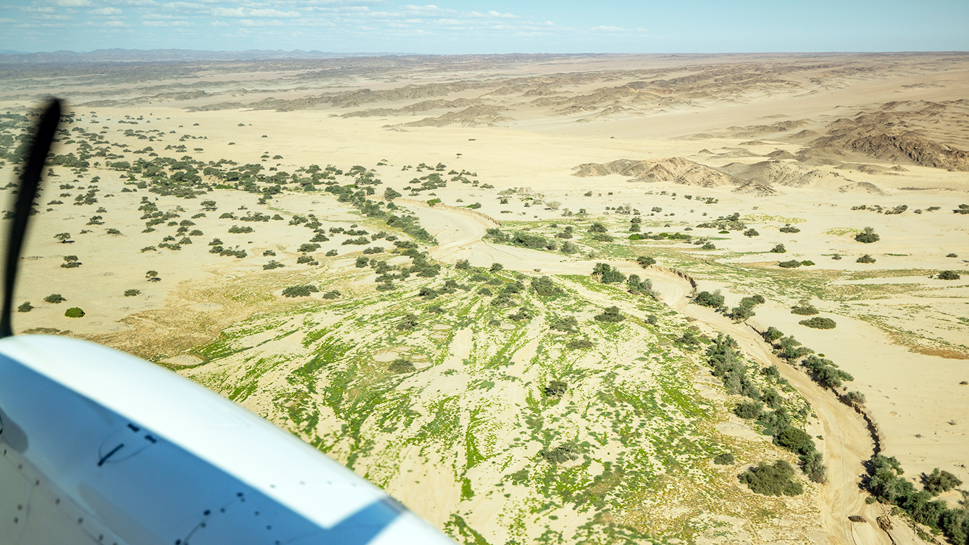 Hoanib Valley, Namibia