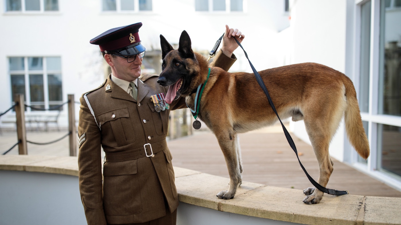 Mali, a Belgian Malinois British Military Working Dog wearing the PDSA Dickin Medal and his handler Corporal Daniel Hatley po