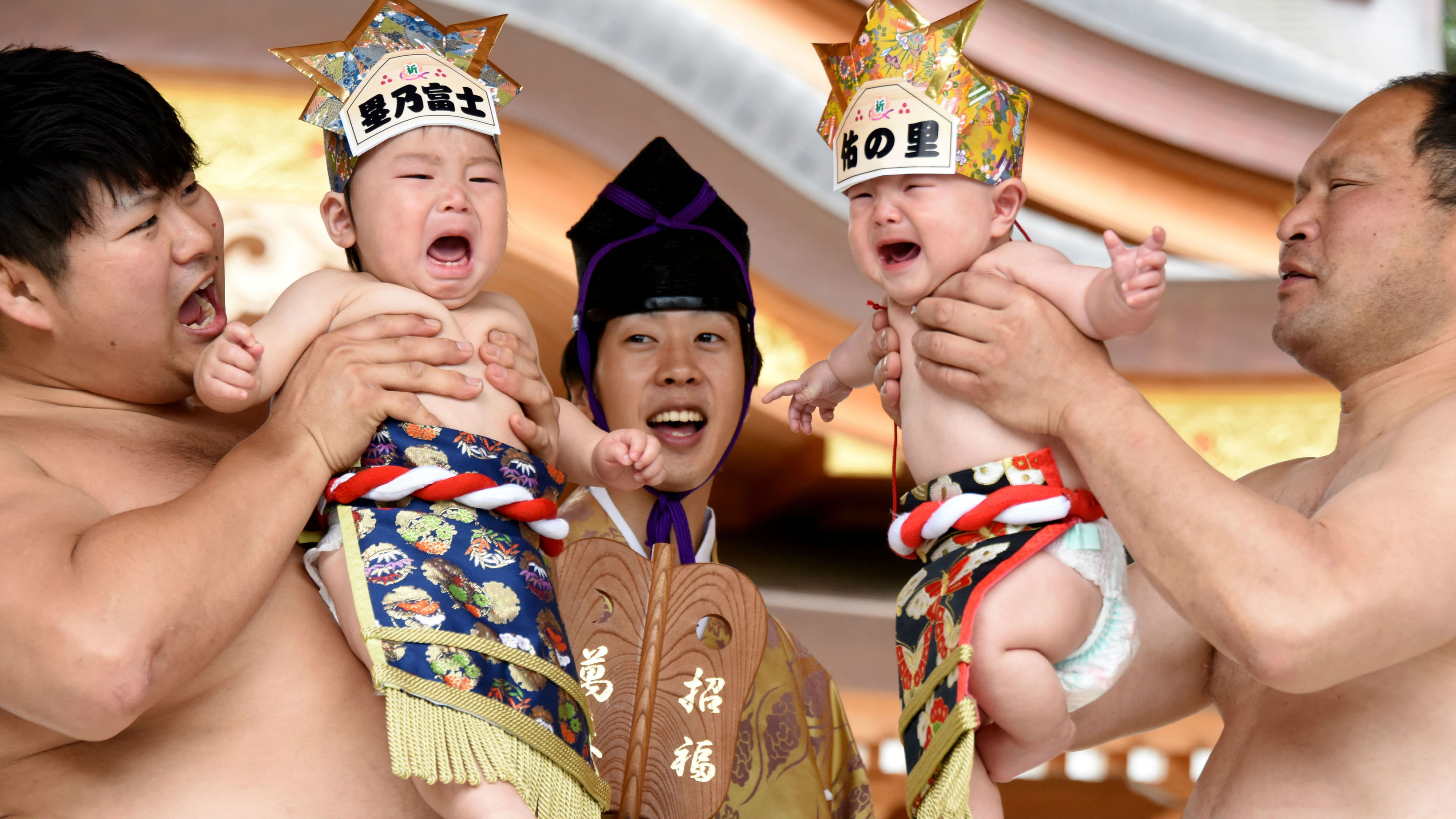 Baby cry sumo contest, Japan