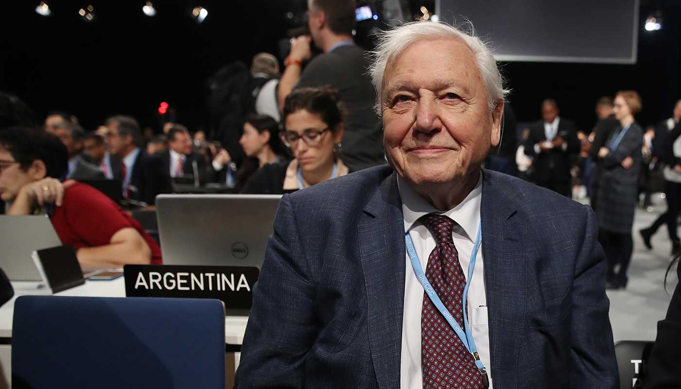 Sir David Attenborough at the COP24 UN climate summit in Poland