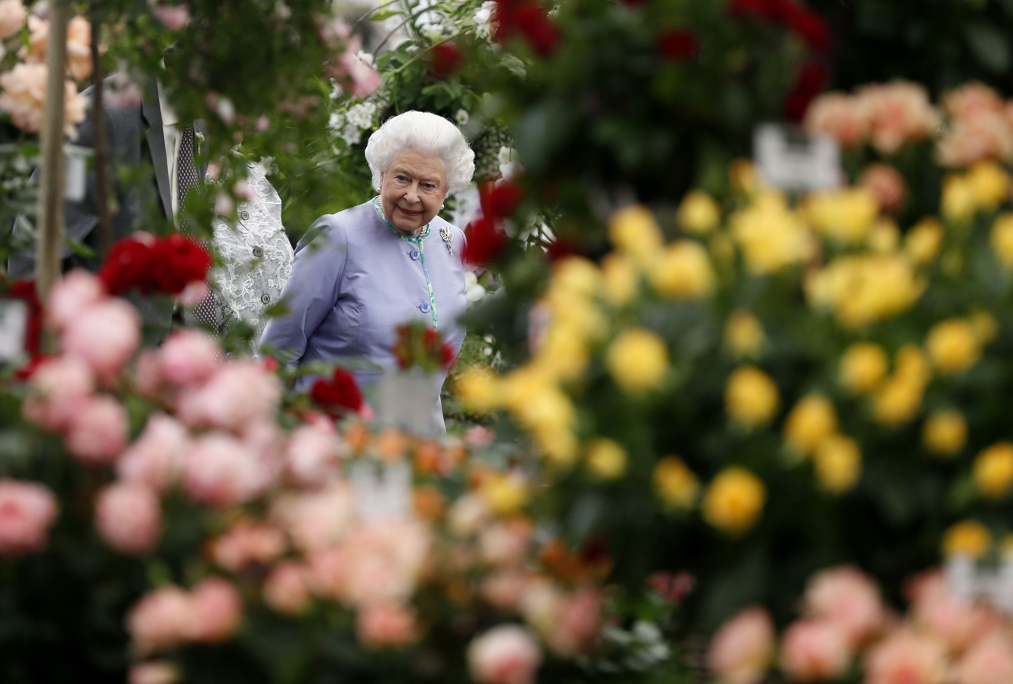 LONDON, UNITED KINGDOM - MAY 19: Queen Elizabeth II looks at a display during a visit to the Chelsea Flower Show on press day on May 19, 2014 in London, England. (Photo by Stefan Wermuth - WP