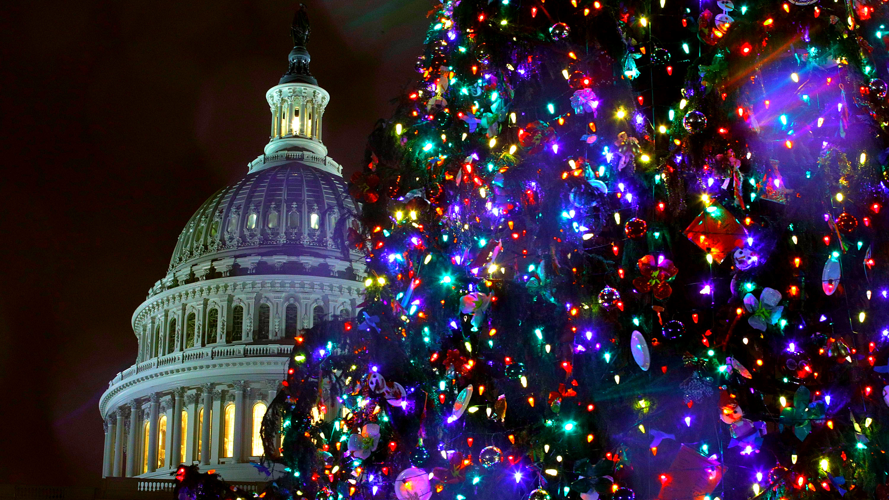 An 80ft Christmas tree lights up the west front lawn of the White House in Washington DC