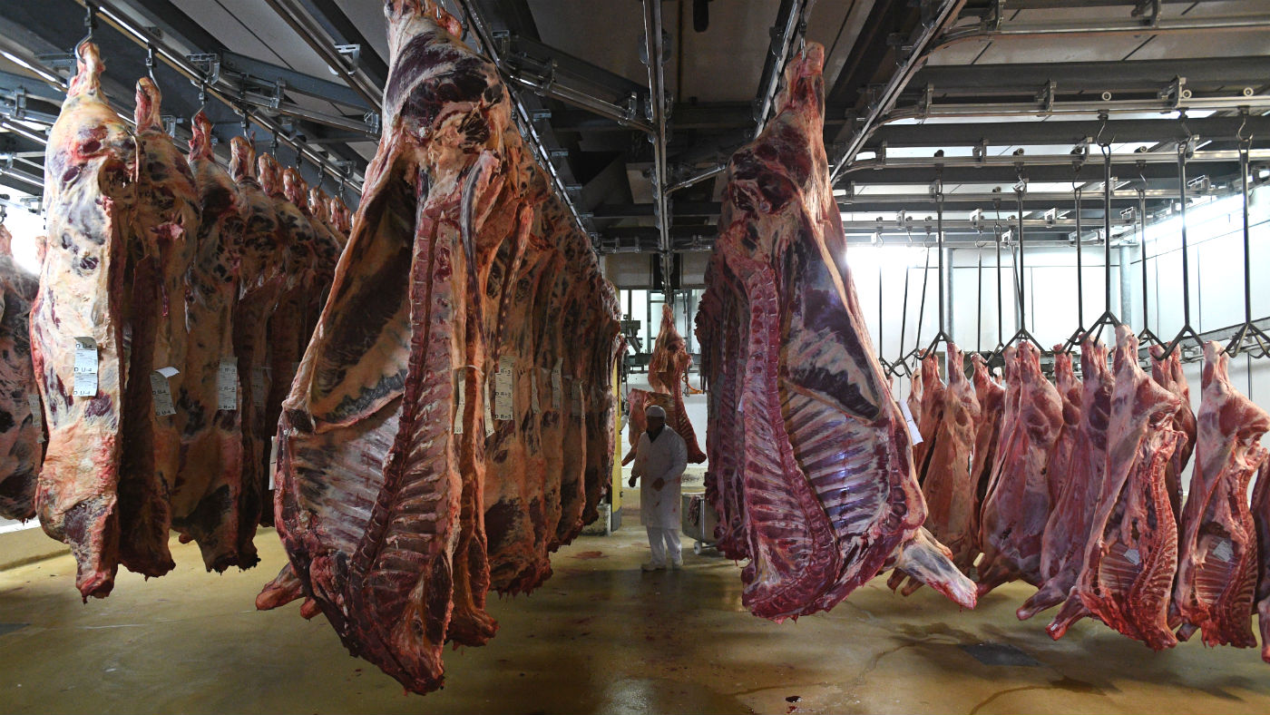 All abattoirs will soon be forced to install cameras