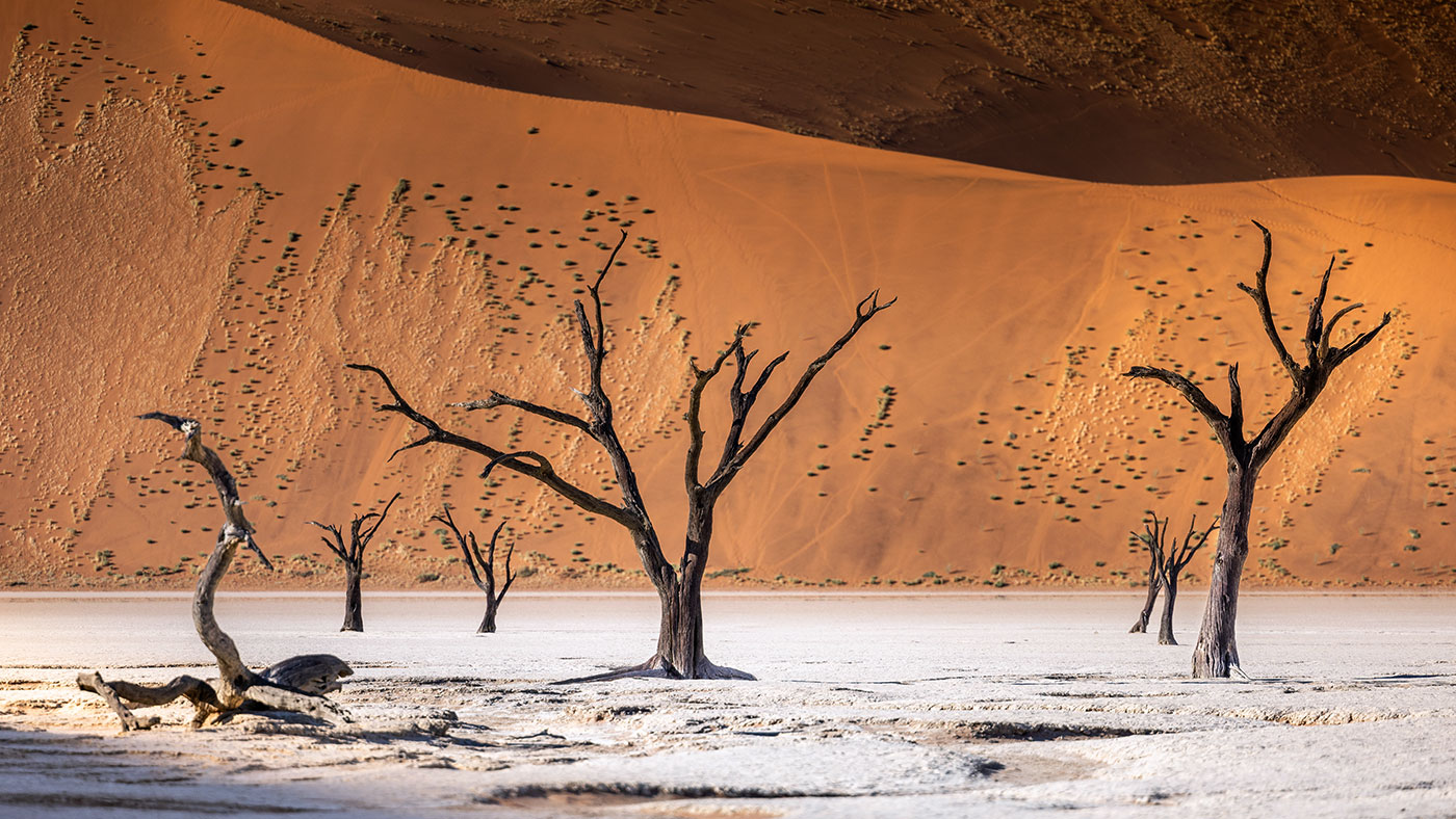 Deadvlei desert in Namibia