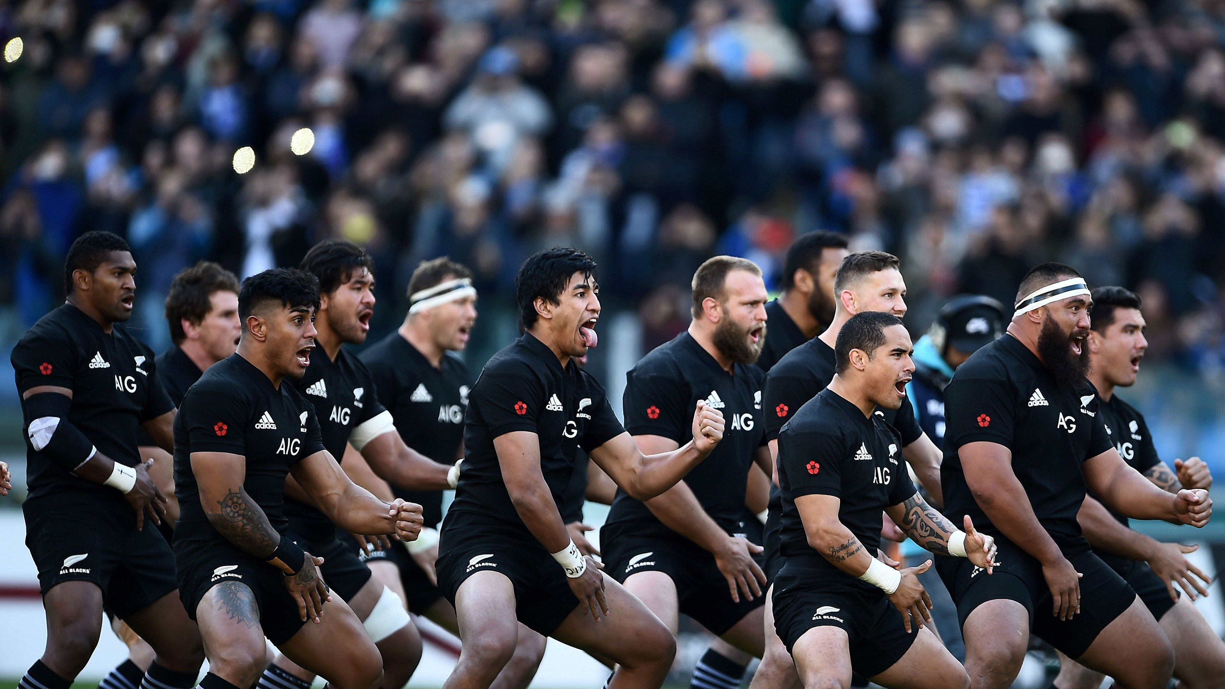 All blacks rugby New Zealand