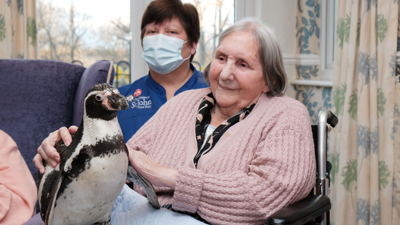 Penguin delighting a care home resident