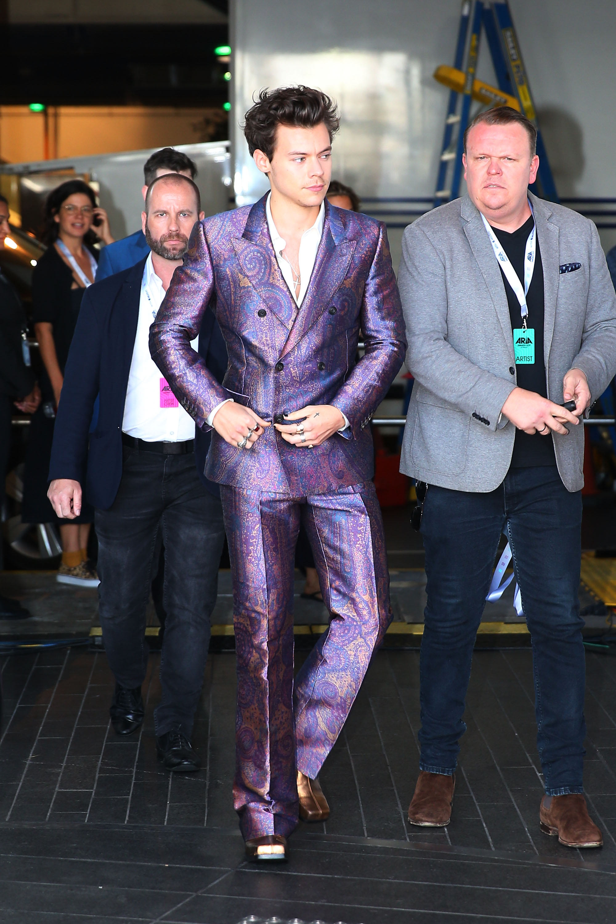SYDNEY, AUSTRALIA - NOVEMBER 28:Harry Styles arrives for the 31st Annual ARIA Awards 2017 at The Star on November 28, 2017 in Sydney, Australia.(Photo by Scott Barbour/Getty Images for ARIA )