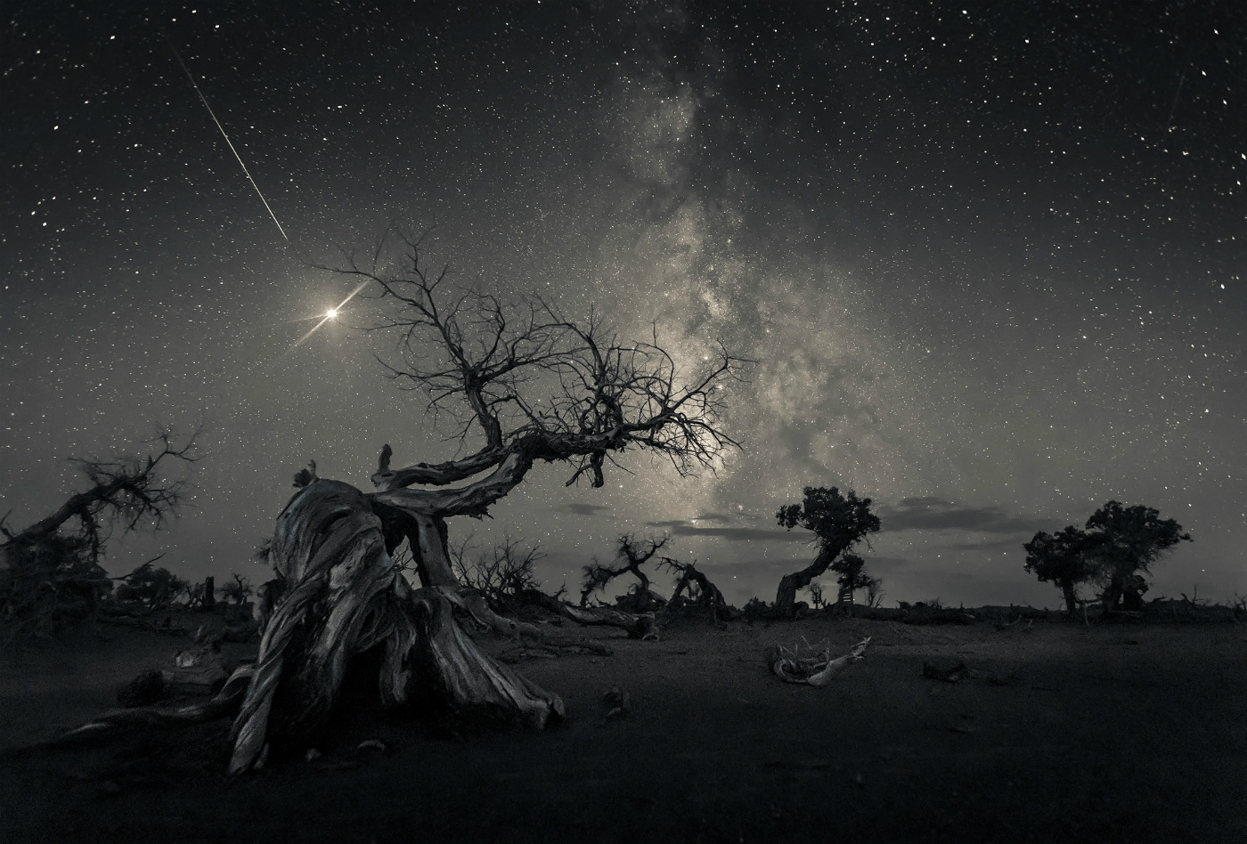 Astronomy Photographer of the Year 2019 winners