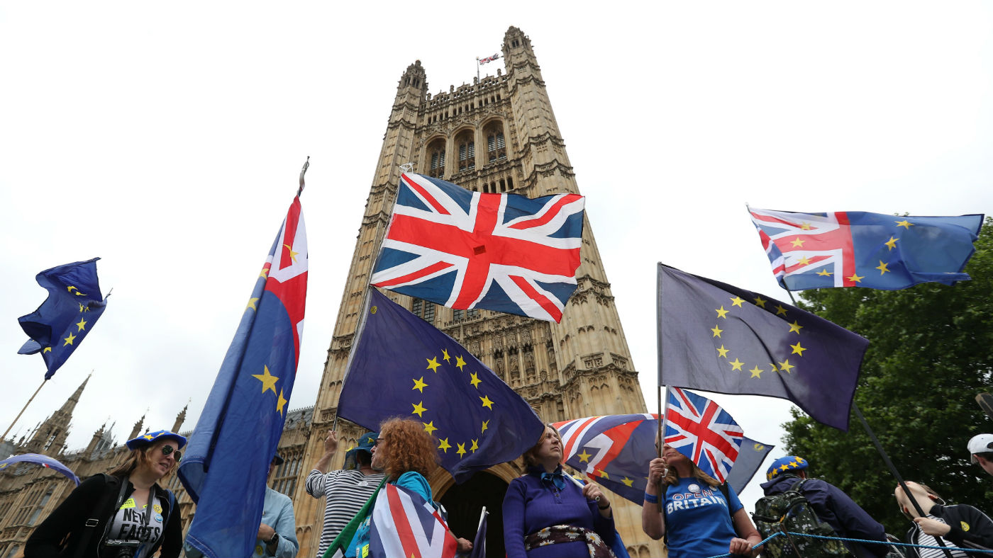 Pro-EU demonstrators hold placards ahead of yesterday&#039;s Commons vote
