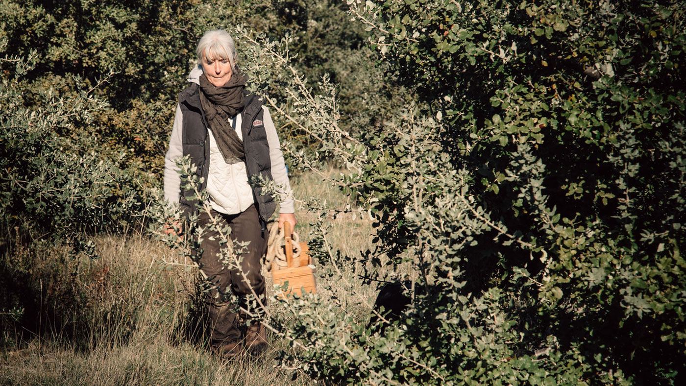 Elena Anton-Marty leads truffle-hunting groups throughout the winter season