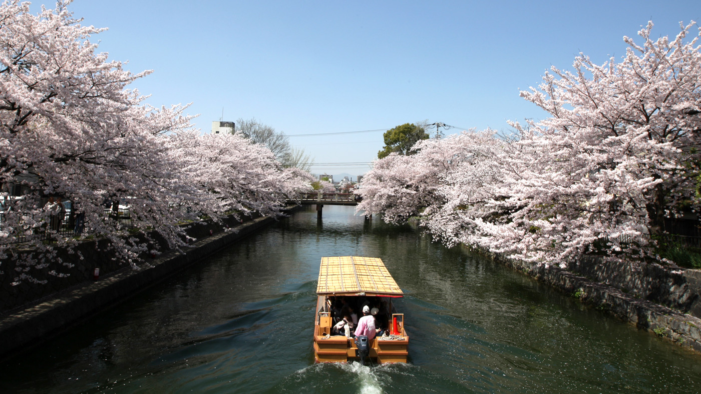 KYOTO, JAPAN - APRIL 05:Tourists travel on a ferry near blooming cherry blossoms on the Okazaki canal on April 5, 2013 in Kyoto, Japan.Cherry blossoms bloom from the end of March to the begin
