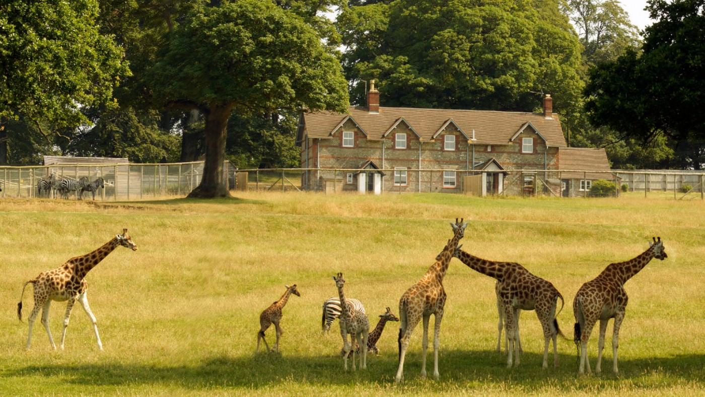 A view of Keeper’s House and Keeper’s Cottage from East African reserve at Longleat