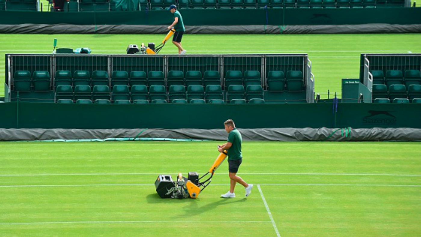 A lawn at Wimbledon tennis championships 