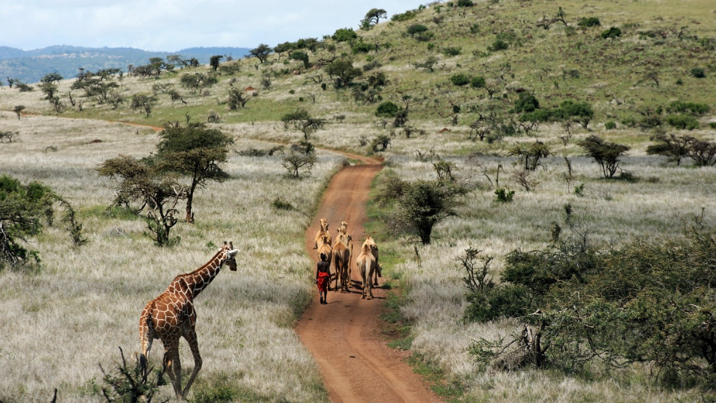 Camel trek in Kenya