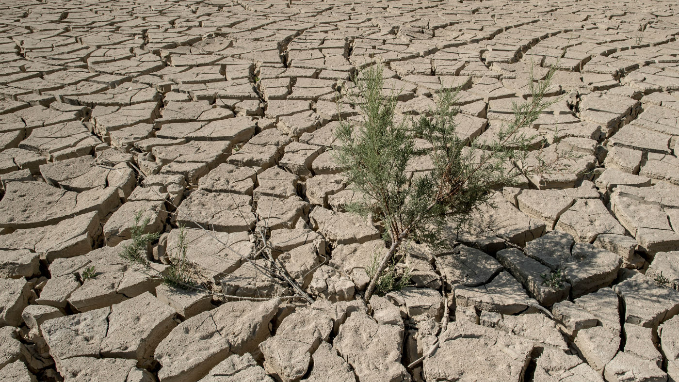 Drought is causing 80 million people each day to go hungry says World Bank