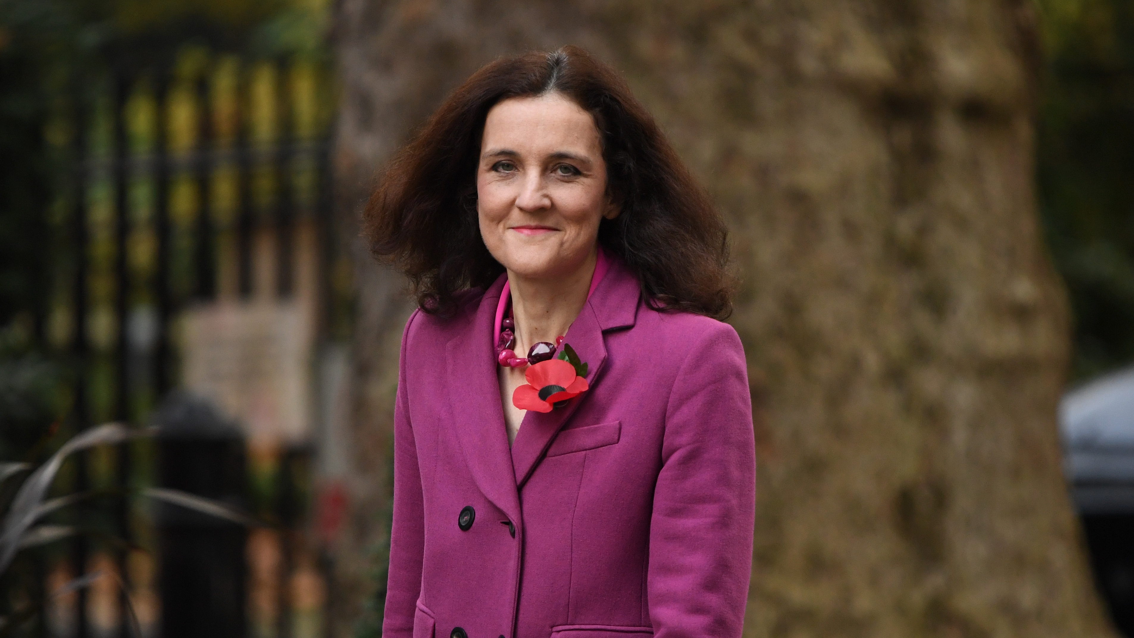 Theresa Villiers arrives at 10 Downing Street for a cabinet meeting in November 2019.