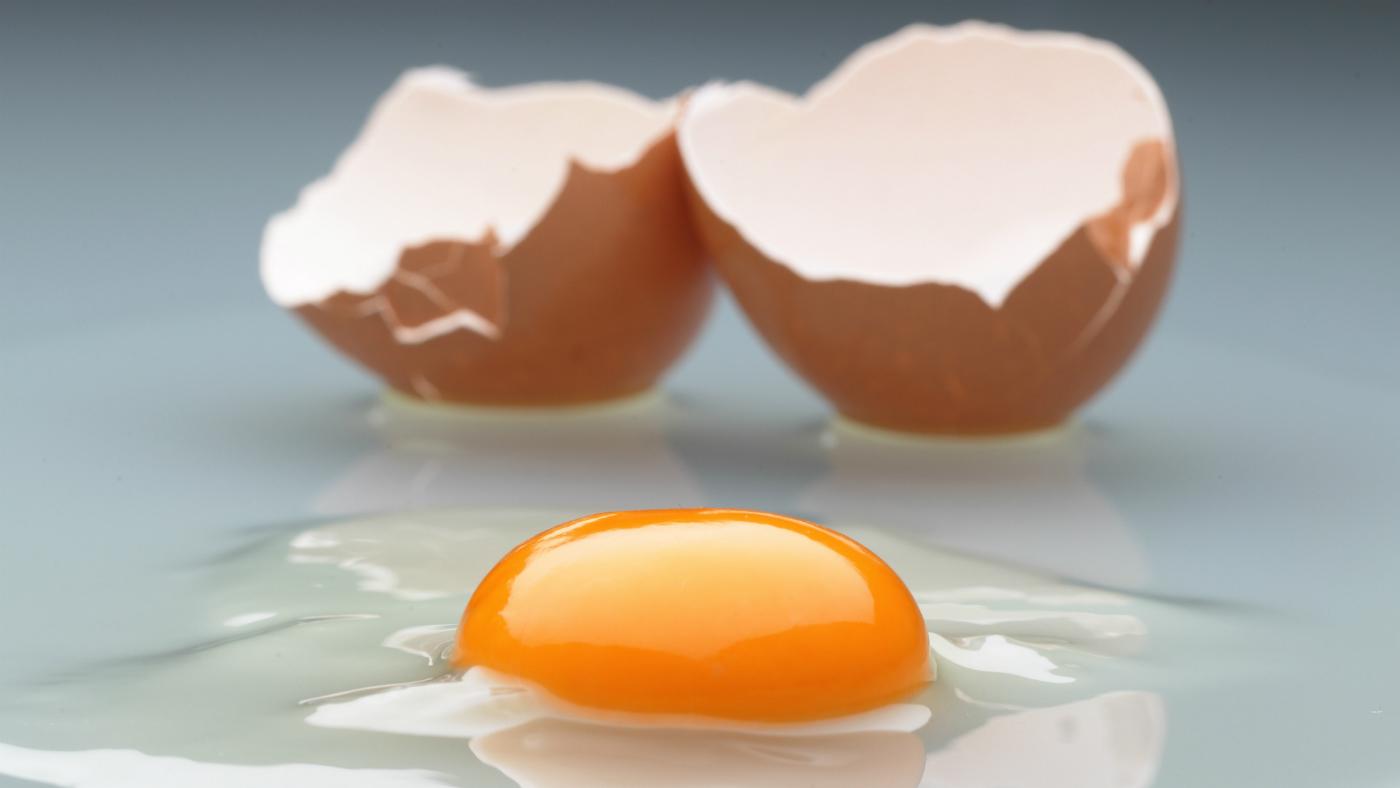 Salmonella, Egg, Food poisoning