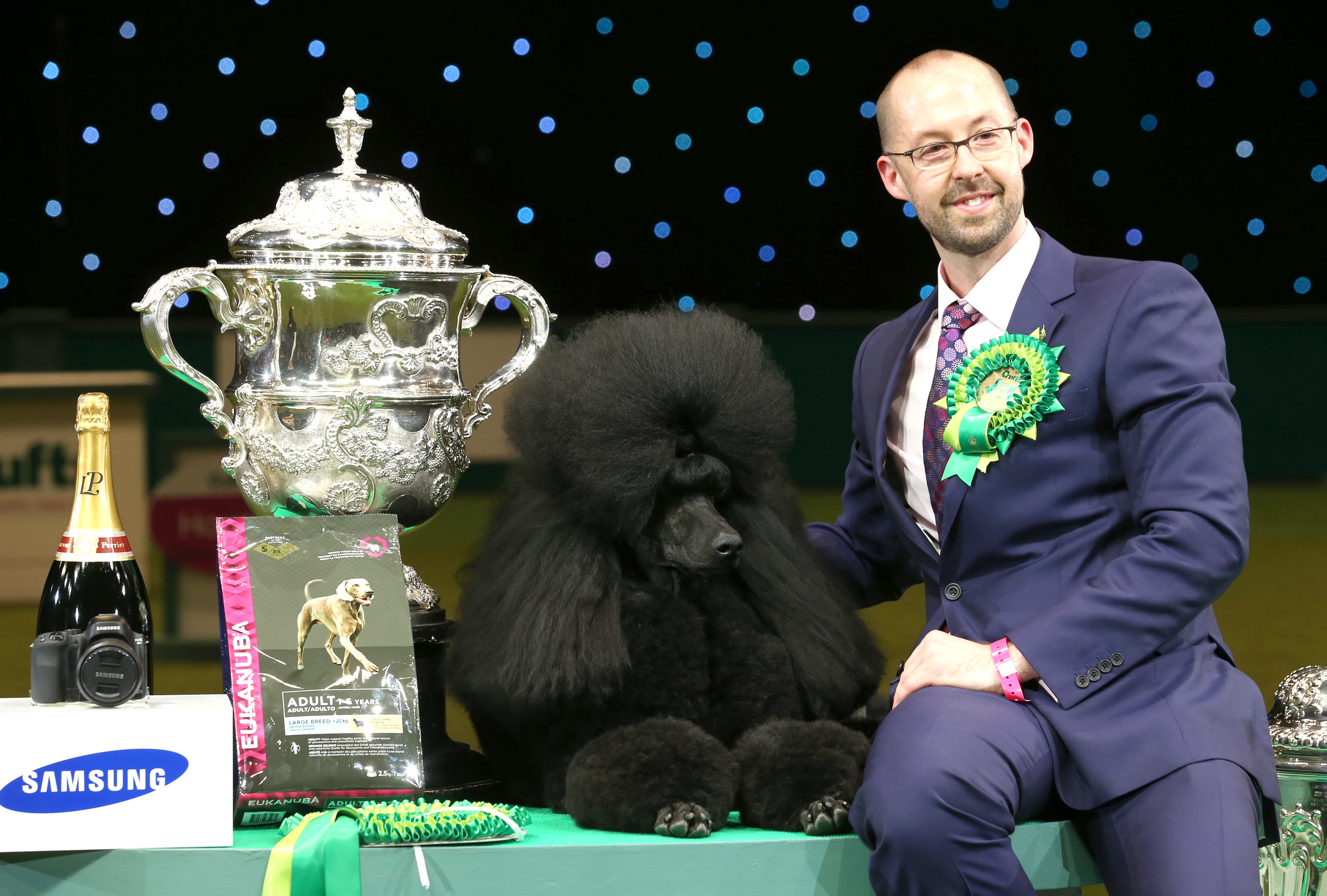 BIRMINGHAM, ENGLAND - MARCH 09:Jason Lynn with Ricky the Standard Poodle, as they celebrate winning the Best in Show category of Crufts 2013 during the final day at Crufts Dog Show on March 9