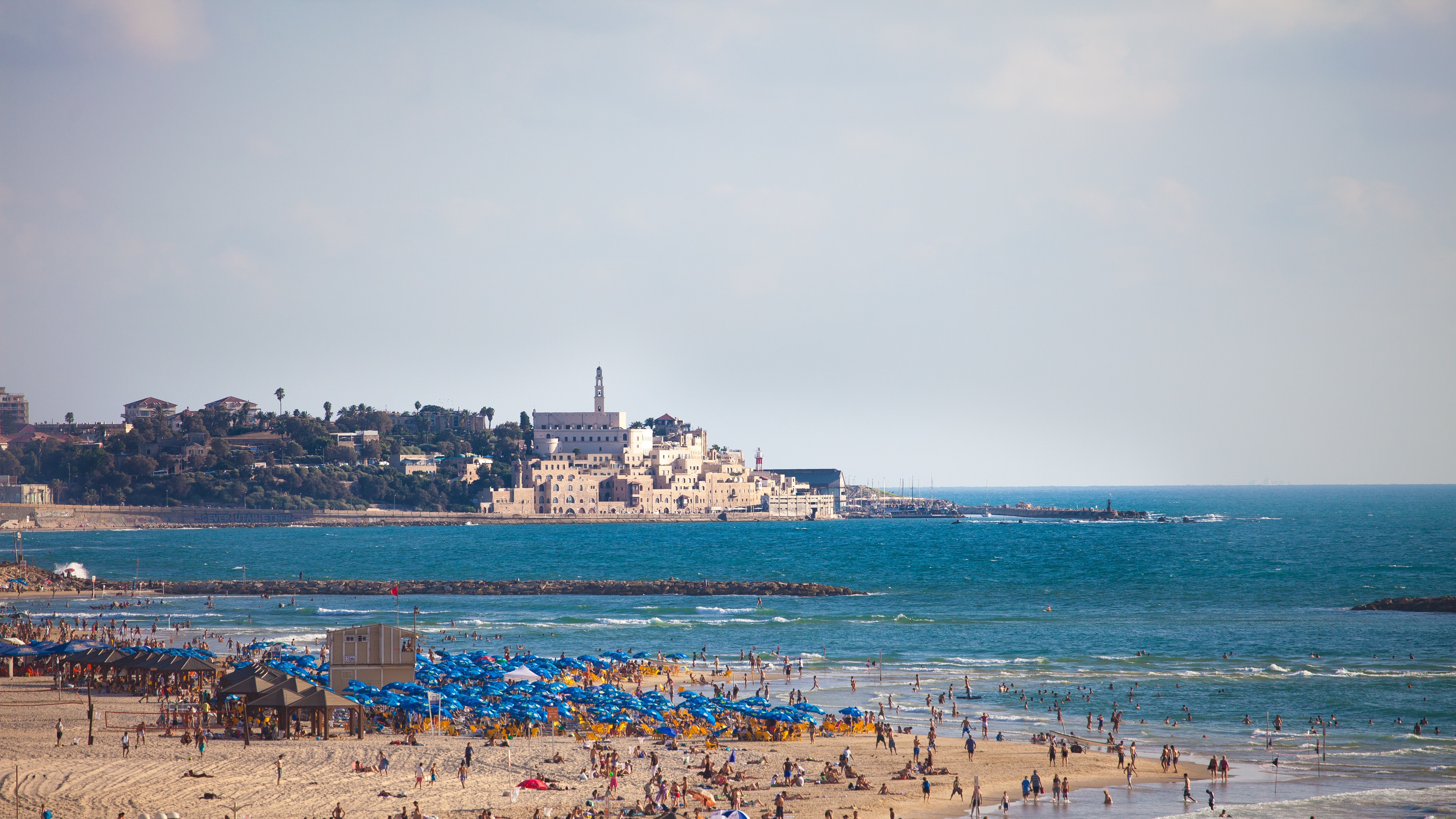 tel_aviv_jaffa_from_tel_aviv_beach_cr_dana_friedlander-israeli_ministry_of_tourism_cropped.jpg