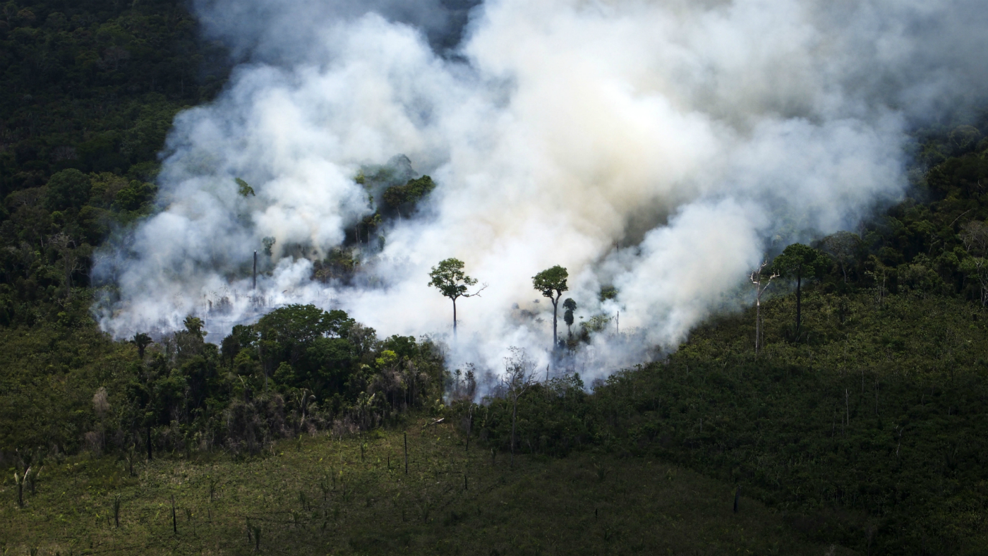 Fires in the Amazon rainforest