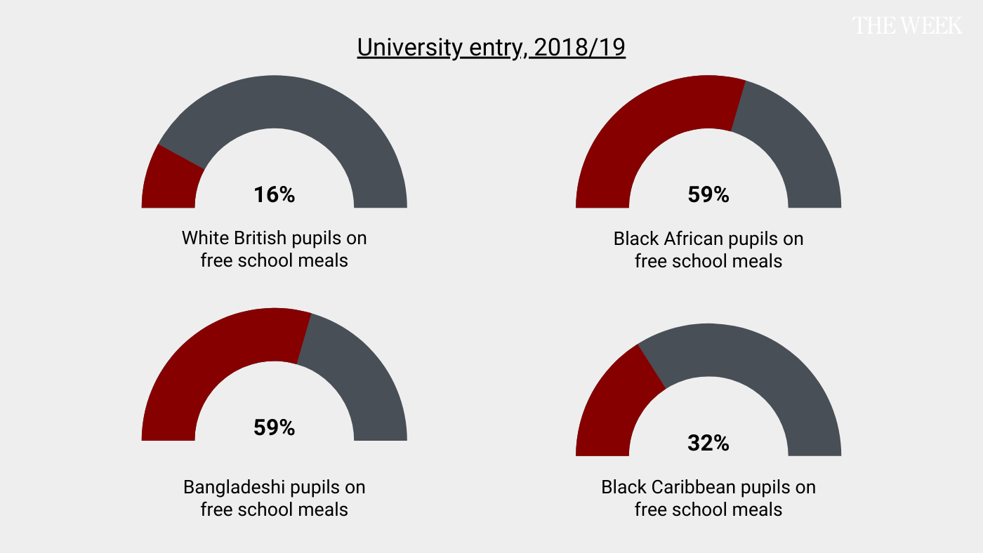 Graph showing university admission rates of FSM students by racial breakdown