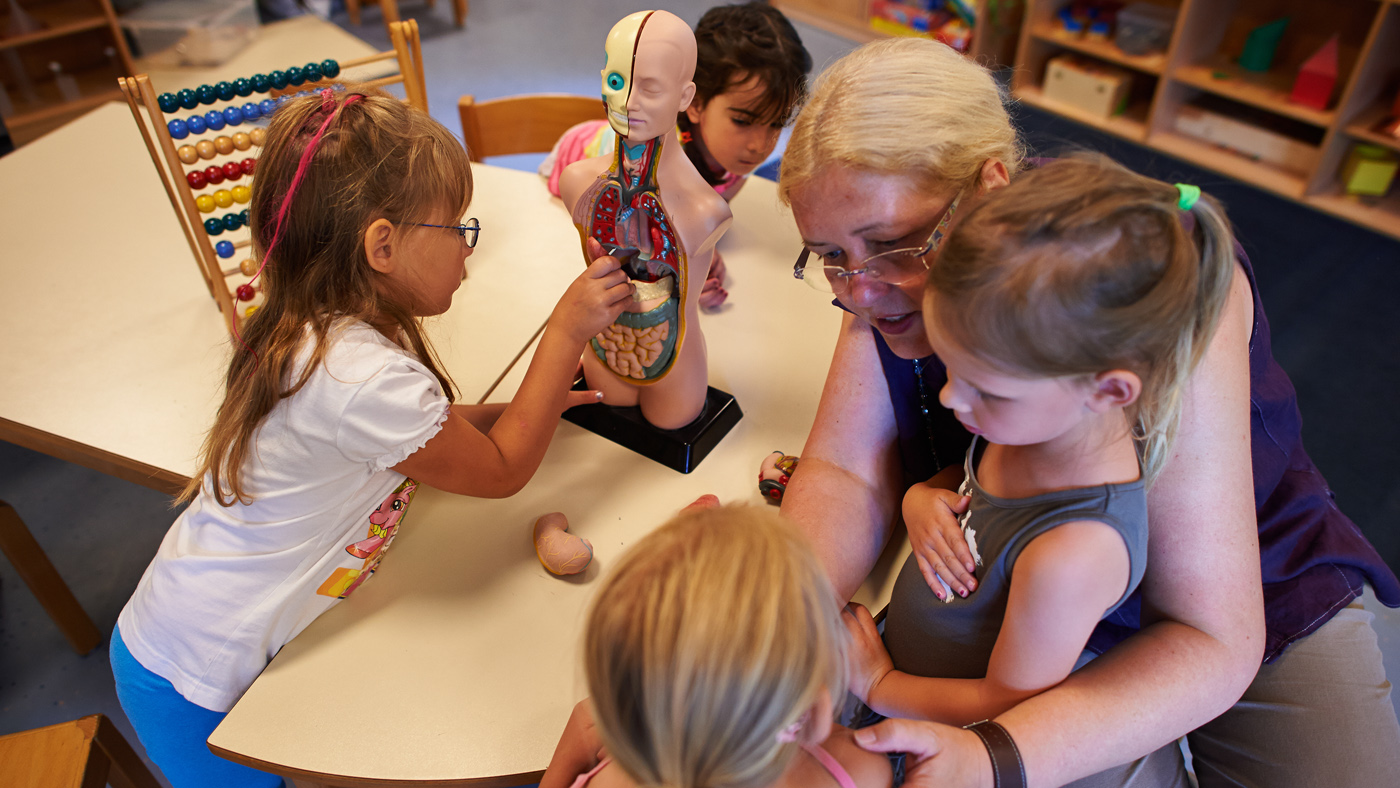 PFUNGSTADT, GERMANY - JULY 11:Kindergarten worker Marita Feigenspan explains to young children the human organs with a model in a Kindergarten (Kita) on July 11, 2013 in Pfungstadt, Germany. 