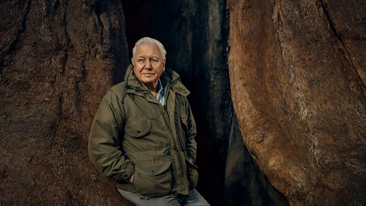 The Green Planet with David Attenborough 