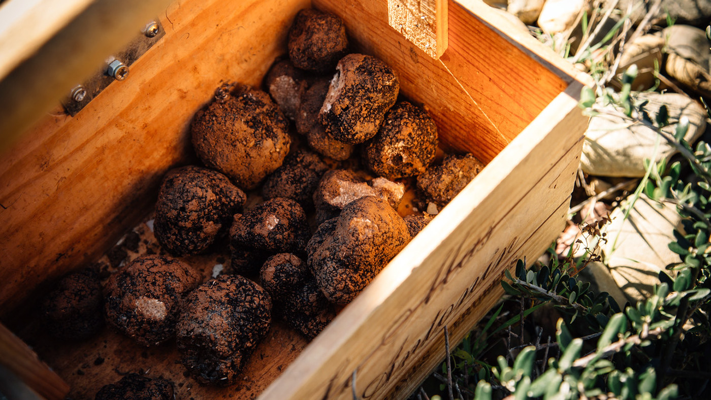 With a basket full of truffles, we head back to the kitchen...
