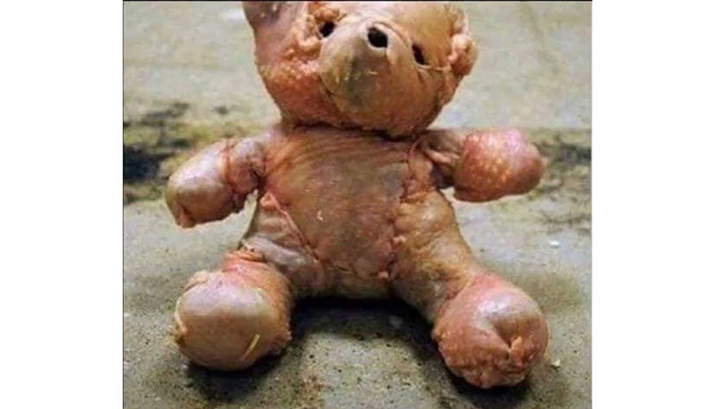 A teddy bear made of raw chicken has been removed from Facebook marketplace