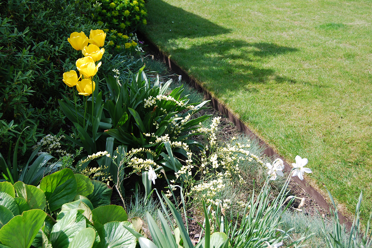Flower bed and lawn divided by EverEdge