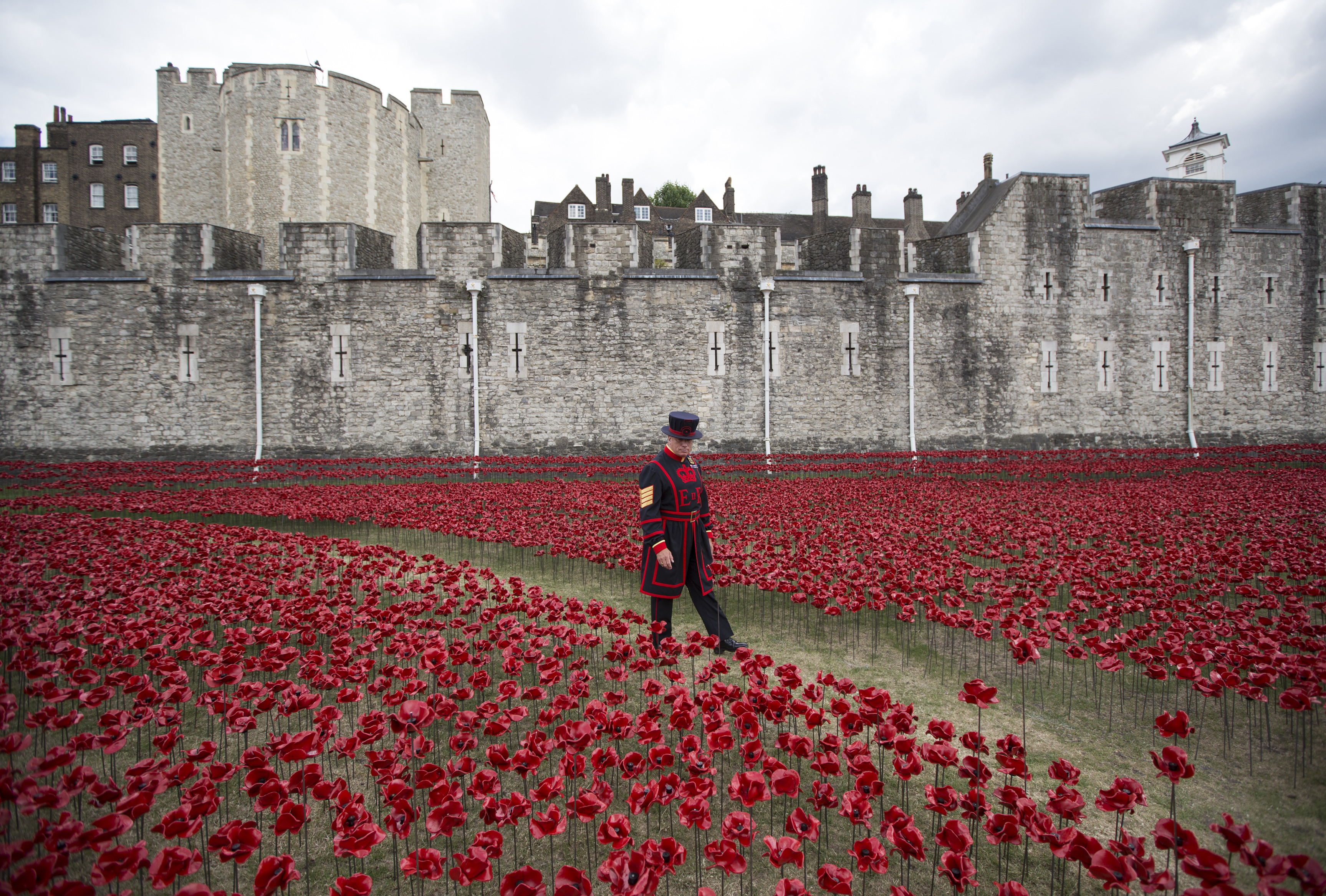 Blood Swept Lands and Seas of Red at Tower of London