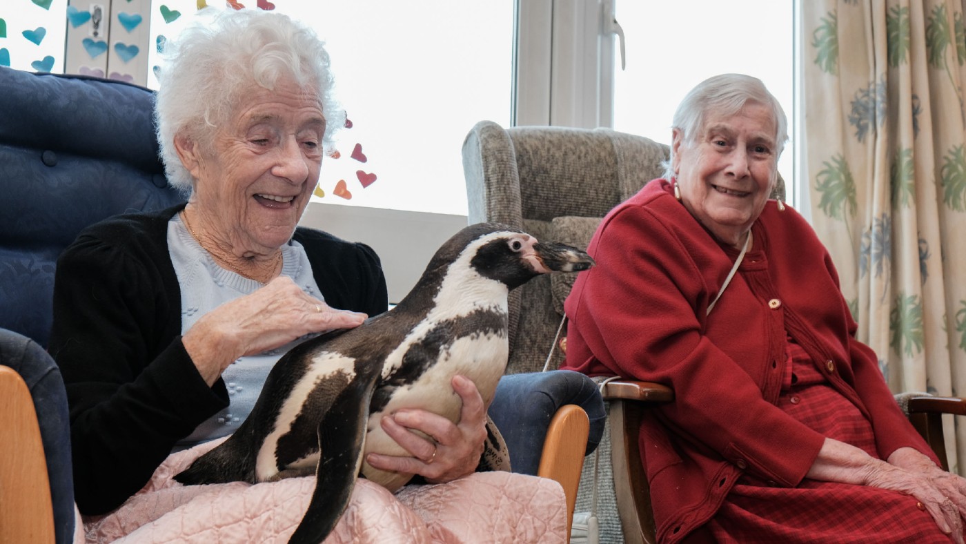 Penguin delights care home residents