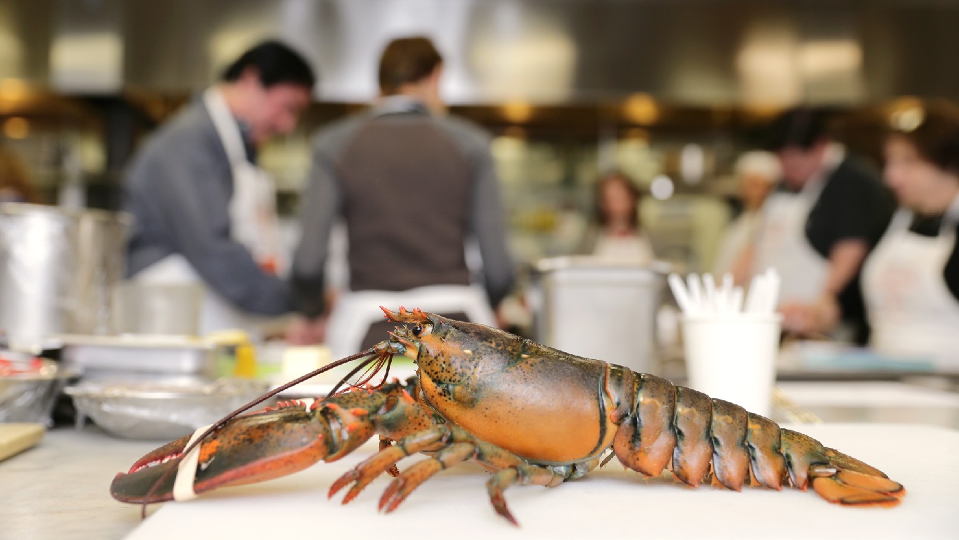 A lobster pictured in a restaurant