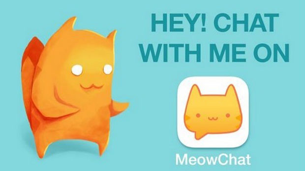 Meow Chat