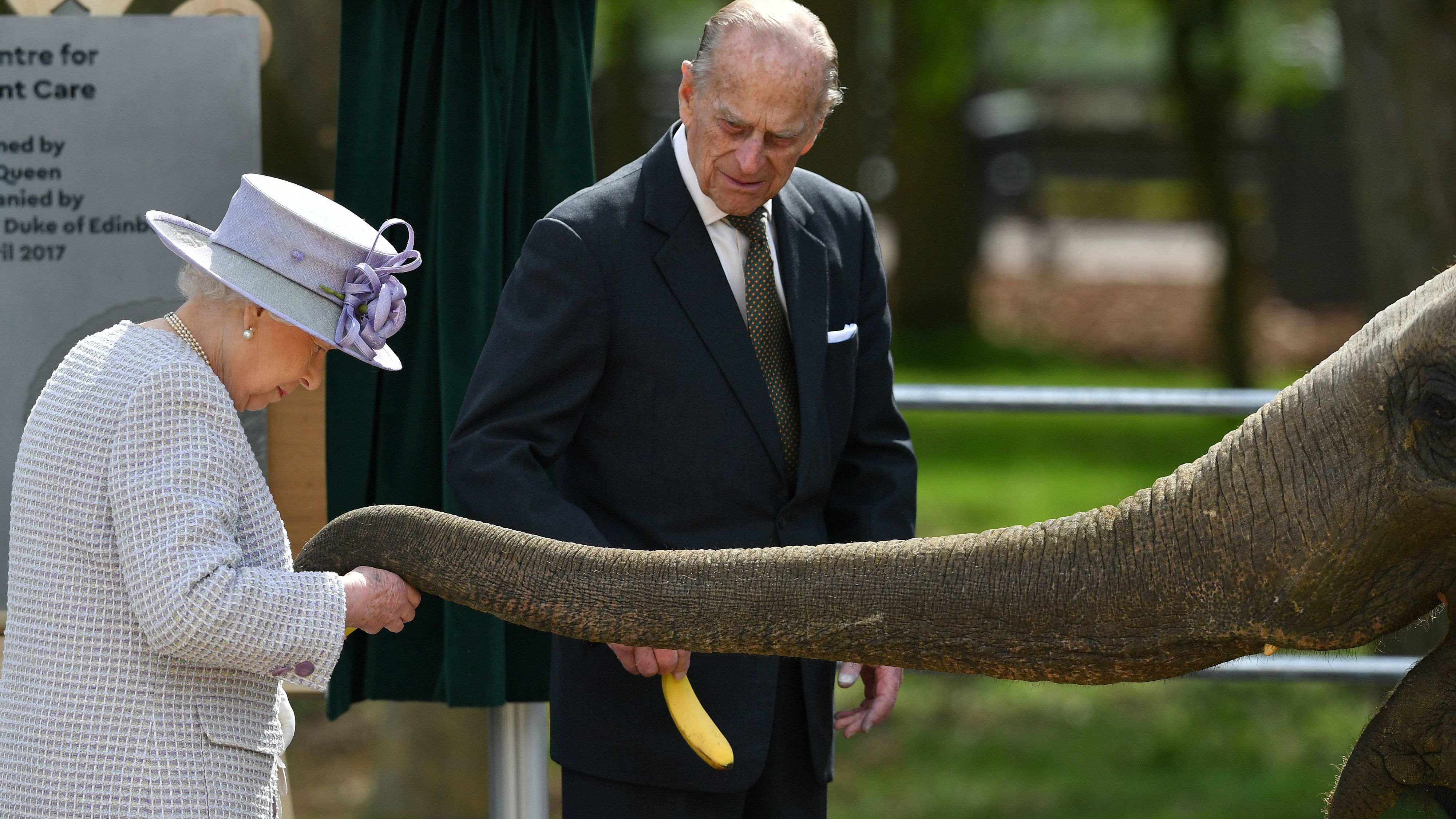 Queen feeds elephant at zoo opening