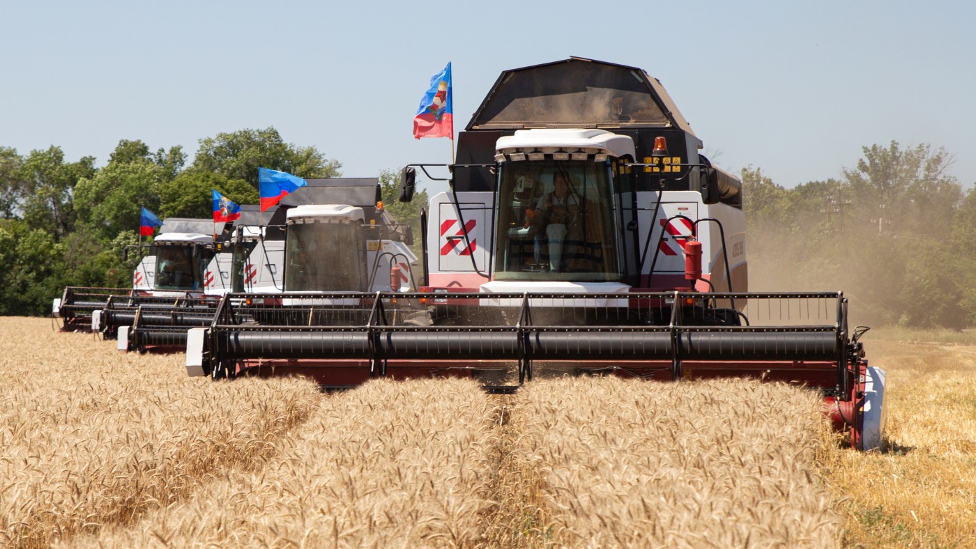 Wheat production in Ukraine  