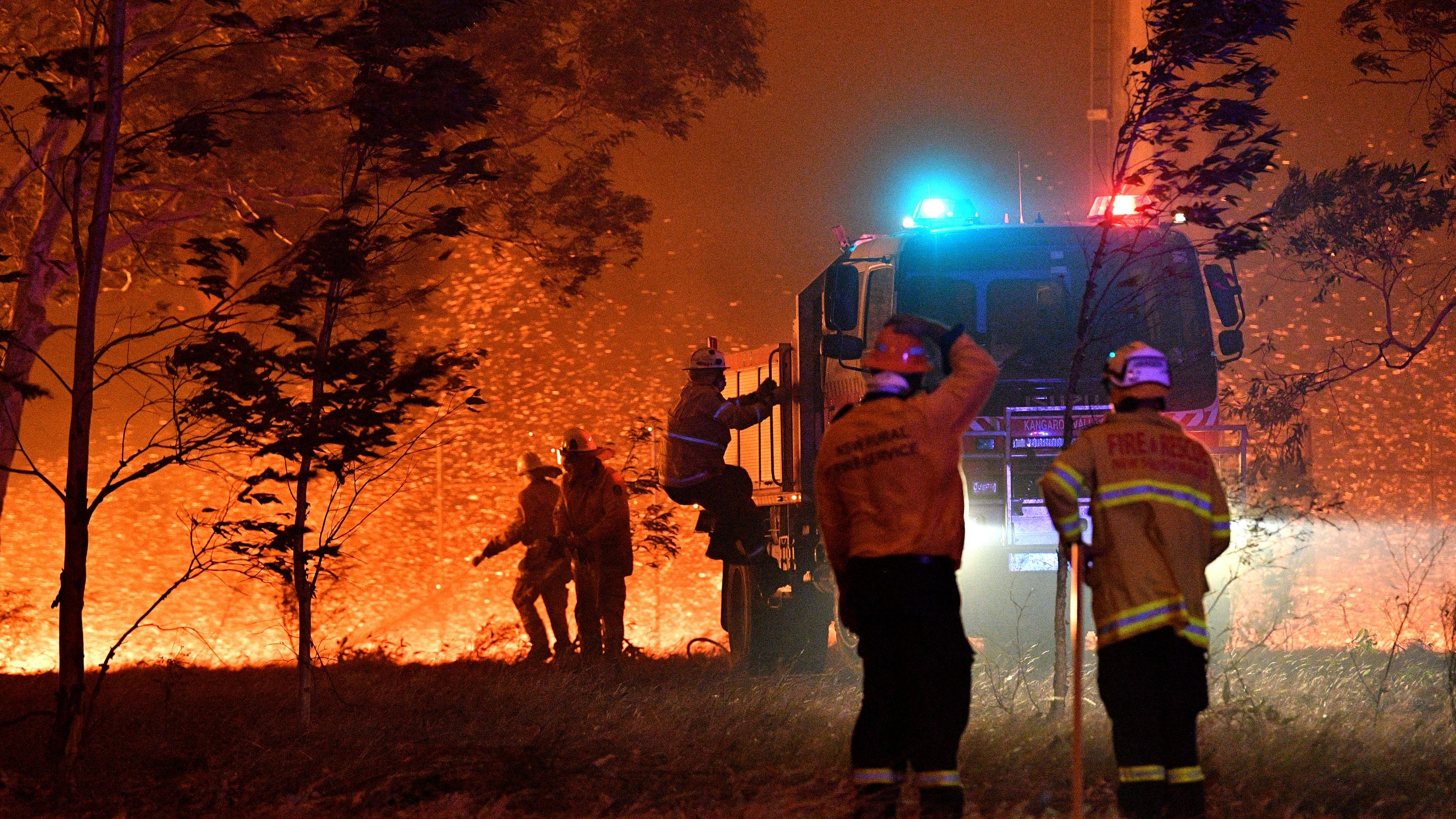 Firefighters hose down trees in a bid to slow the spread of bushfires around Nowra in Australia