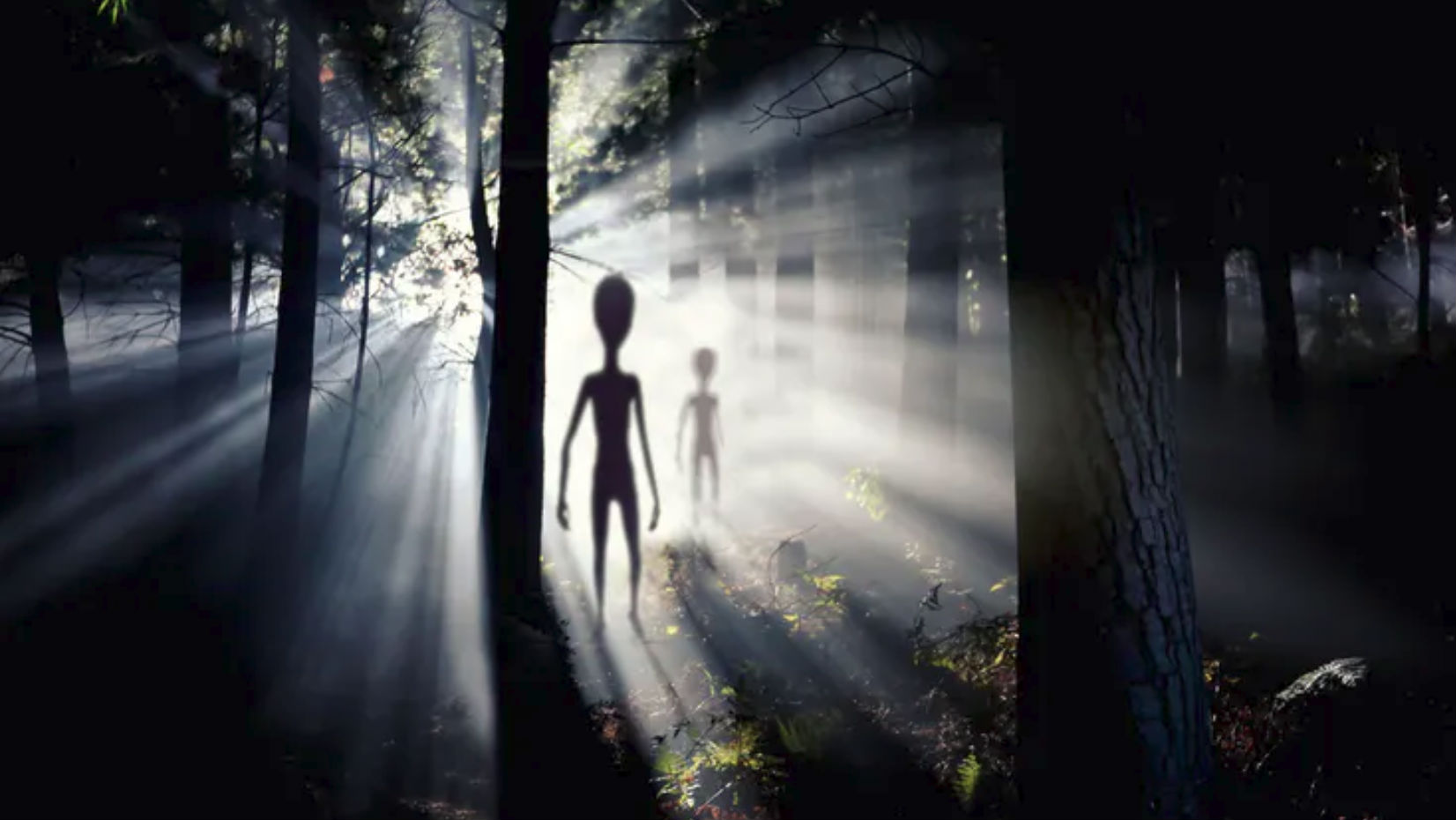 Aliens seen in the woods.